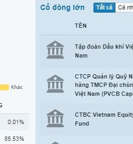 Petrovietnam giữ nguyên tỷ lệ sở hữu vốn tại PVCFC